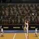 bunnylimpics-volleyball
