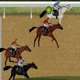 horse-racing-fantasy