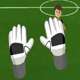 save-the-goal