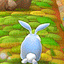 hop-dont-stop