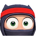 irresponsible-ninja