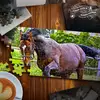 jigsaw-puzzle-horses-edition