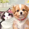 pet-salon 0