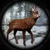 sniper-hunting-jungle-2022 0