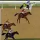 horse-racing-fantasy