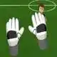 save-the-goal