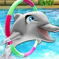 my-dolphin-show-9 0