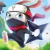 ninja-rabbit 0