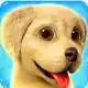 paw-puppy-kid-subway-surfers-runner 0