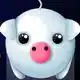 piggy-night